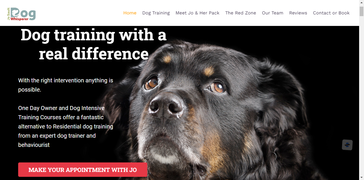 DOG WHISPERER, Custom Websites | Award Winning Web Agency | Pay Monthly Plans
